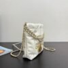 2025 Spring and Summer Preview Series CHANEL 22 Mini Handbag