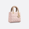 Small Lady Dior My ABCDior Bag
