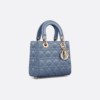 Small Lady Dior My ABCDior Bag