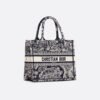 Small Dior Book Tote