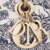 Medium Lady D-Lite Bag