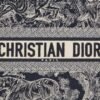 Medium Dior Book Tote