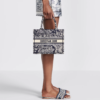 Small Dior Book Tote