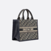 Small Dior Book Tote