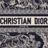 Small Dior Book Tote