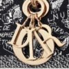 MEDIUM LADY D-LITE BAG Embroidery
