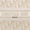 Small Dior Book Tote