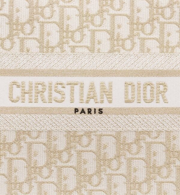 Small Dior Book Tote
