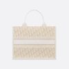 Medium Dior Book Tote