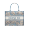 Dioriviera Book Tote Bag in Medium Size