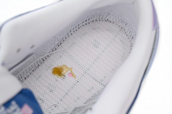 born_x_raised_x_nike_sb_dunk_low_blue_white_fn7819_400_18C2968E5FC15.jpg Born x Raised x Nike SB Dunk Low Blue White FN7819-400