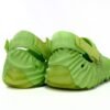 Crocs Pollex Clog by Salehe Bembury Crocodile