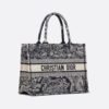 Medium Dior Book Tote