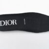 Dior B23 HT Oblique Transparency Low H565 White