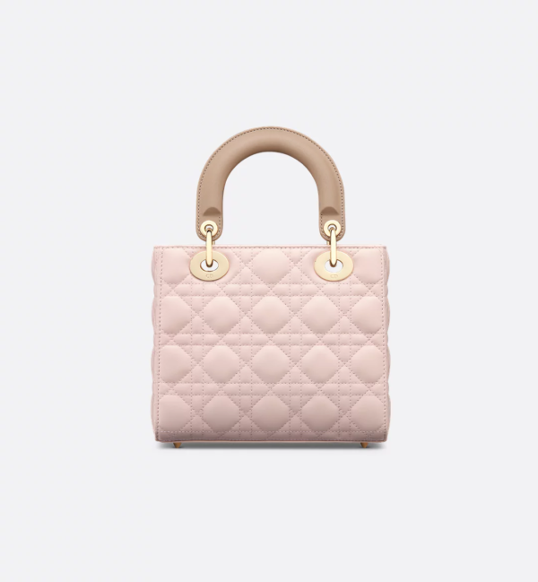 Small Lady Dior My ABCDior Bag