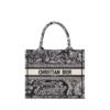 Small Dior Book Tote
