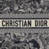 Large Dior Book Tote
