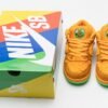 Grateful Dead x Nike SB Dunk Low Pro QS  “ Orange Bear”  CJ5378-800