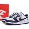 NBA x Nike Dunk Low Brooklyn Nets DD3363-001