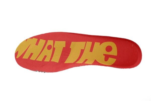 Nike Dunk Low "What the Dunk" Colorful Pigeon  318403-141