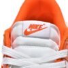 Nike Dunk Low Orange Paisley DH4401-103