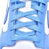 Nike Dunk Low Retro University Blue DD1391-102