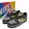 Nike Dunk Low SB Friends and Family FD8775-002
