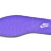Nike Dunk Low World Champ DR9511-100