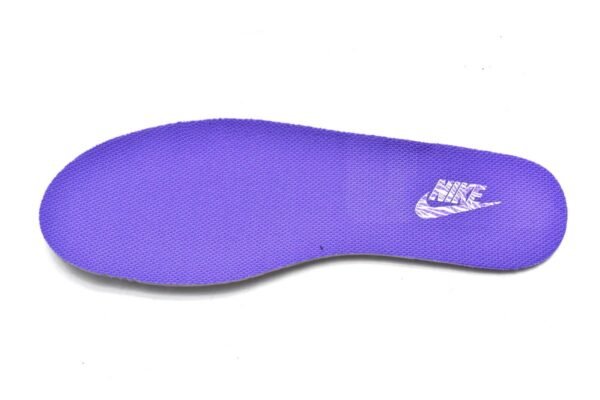 Nike Dunk Low World Champ DR9511-100