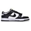 Nike Dunk Low World Champ DR9511-100