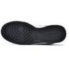 Nike Dunk Low World Champ DR9511-100