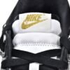 Nike Dunk Low World Champ DR9511-100