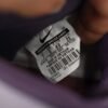 Nike Dunk SB High Daybreak Plum 313171-500