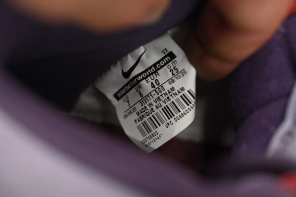 Nike Dunk SB High Daybreak Plum 313171-500