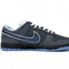 nike_sb_dunk_low_concepts_blue_lobster_313170_342_18B93D5253513.jpg Nike SB Dunk Low Concepts Blue Lobster 313170-342