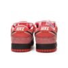 Nike SB Dunk Low Concepts Red Lobster 313170-661