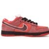 Nike SB Dunk Low Concepts Red Lobster 313170-661