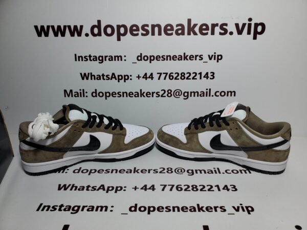 Nike SB Dunk Low Trail White Brown 304292-102