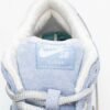 Sean Cliver x Nike SB Dunk Low DC9936-100