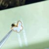 [Eternal Jewelry]SWEET BUTTERFLY MOP EARSTUDS