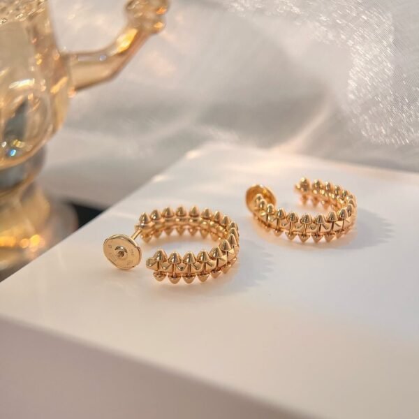 [Eternal Jewelry]CLASH EARRINGS