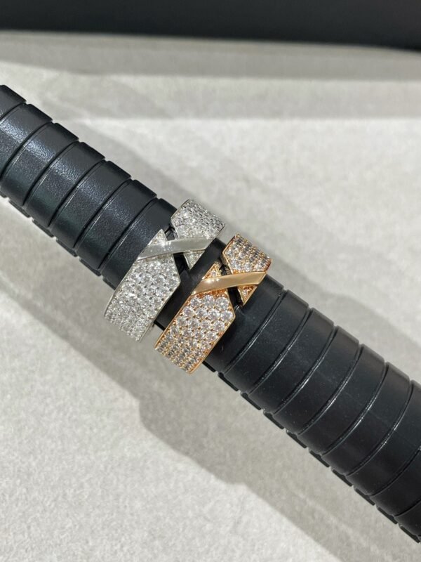 [Eternal Jewelry]LIENS EVIDENCE  DIAMOND PAVED RING