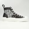 Dior B23 HT Oblique Gaobang Black and White